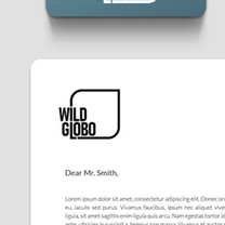 Identity and Brand Design for Wild Globo