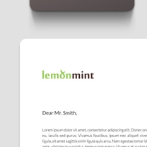 Identity and Brand Design for LemonMint
