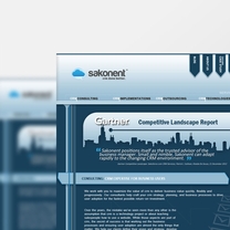 Bespoke Web Design for Sakonent