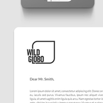 Branding and identity design for Wild Globo